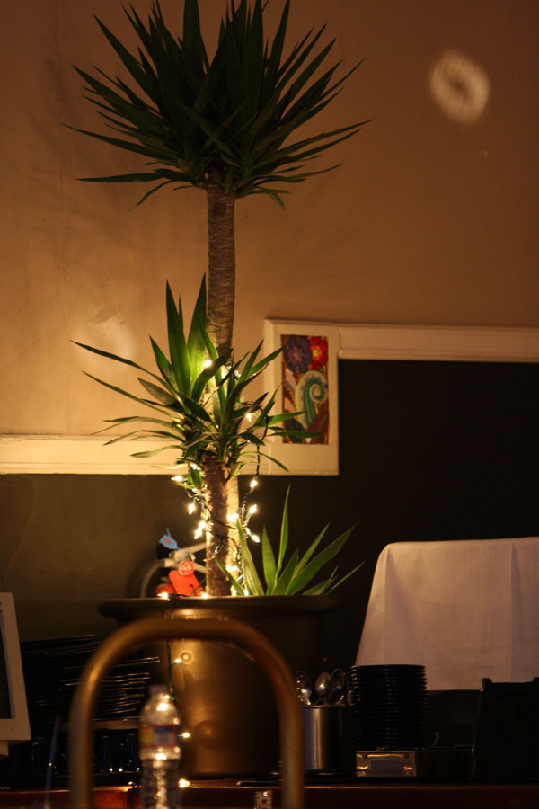 palm 2